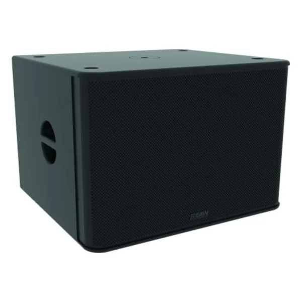 CAJA EAW RS118 SUBBAJO