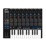 CONTROLADOR RELOOP 244054 KEYPAD PRO